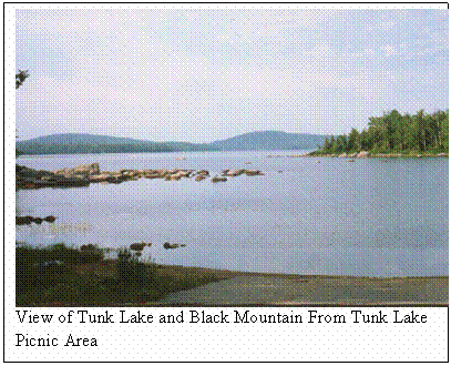 Text Box:  
View of Tunk Lake and Black Mountain From Tunk Lake Picnic Area
